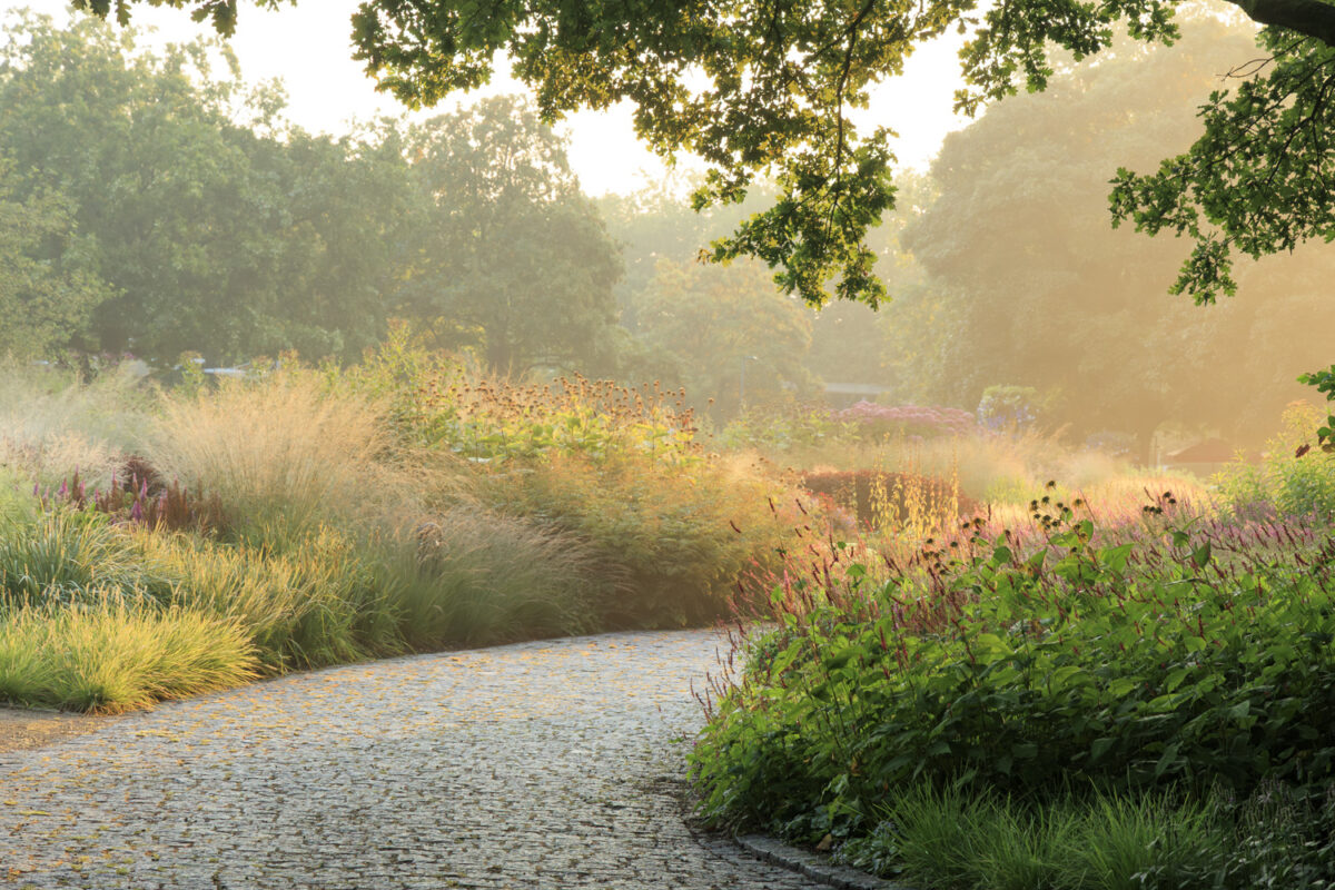 Photo: Maximilianpark in Hamm: Workshop Gartenfotografie mit Sylvia Knittel: 1.-2. August 2026