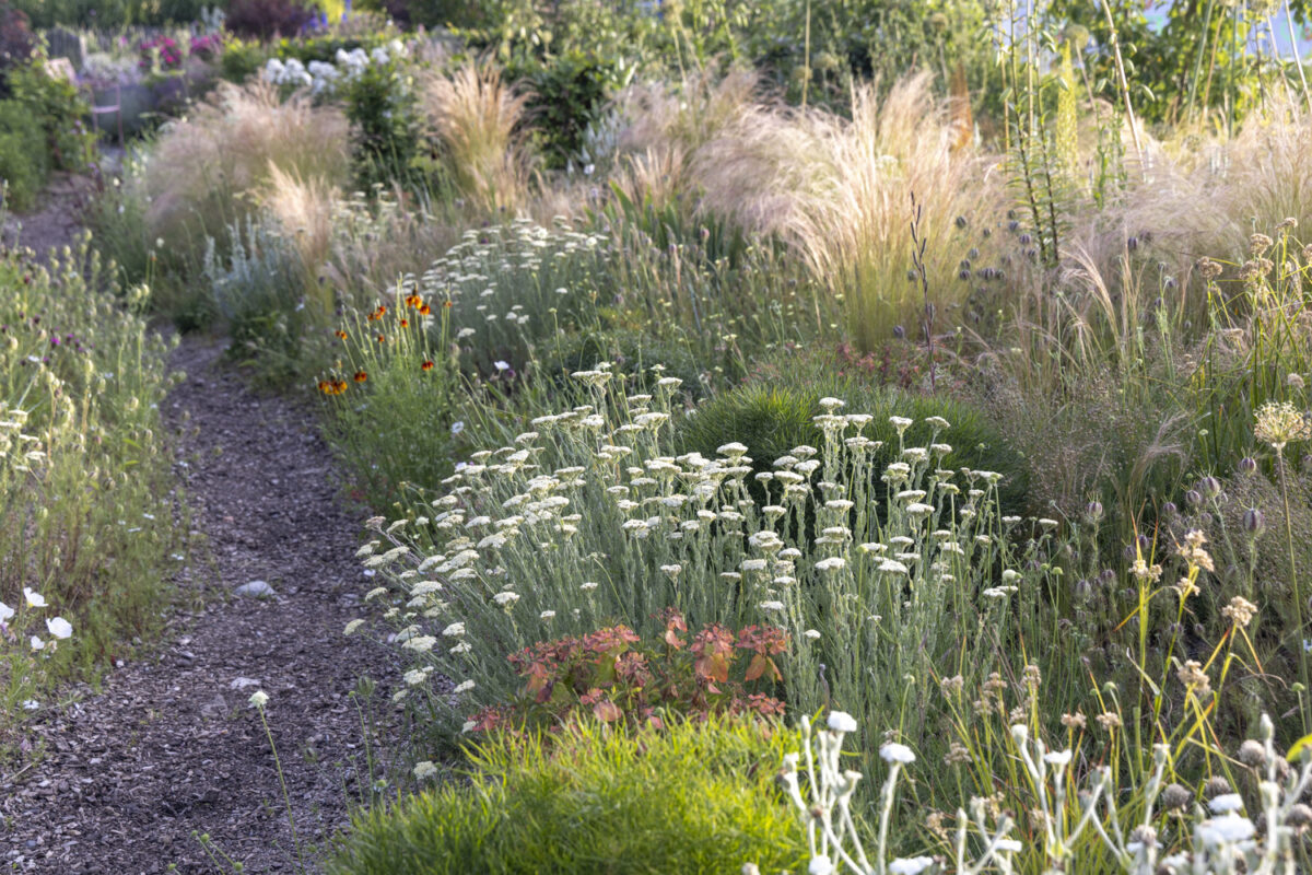 Photo: Staudengärtnerei in Rödelsee - Workshop Gartenfotografie mit Sylvia Knittel