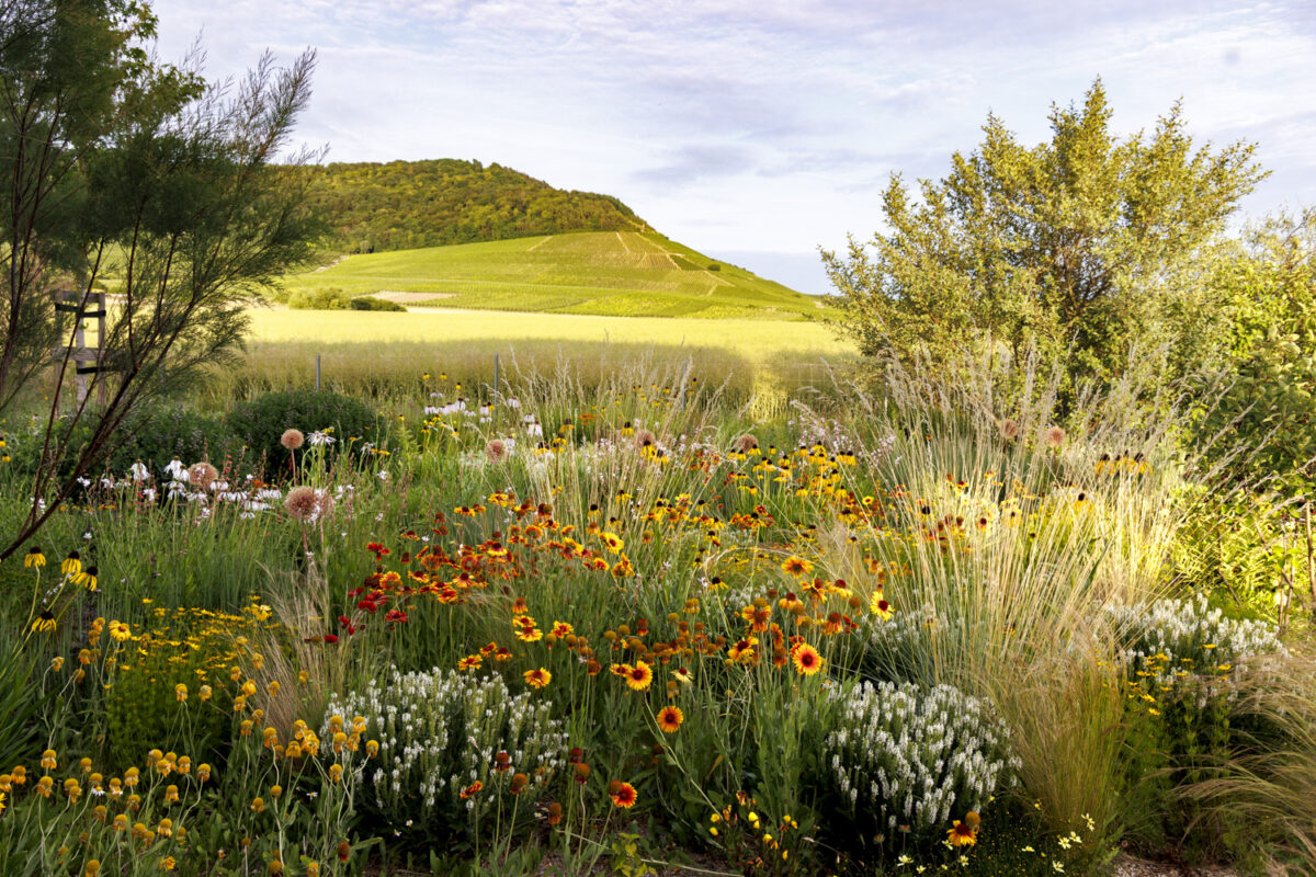 Photo: Staudengärtnerei in Rödelsee - Workshop Gartenfotografie mit Sylvia Knittel