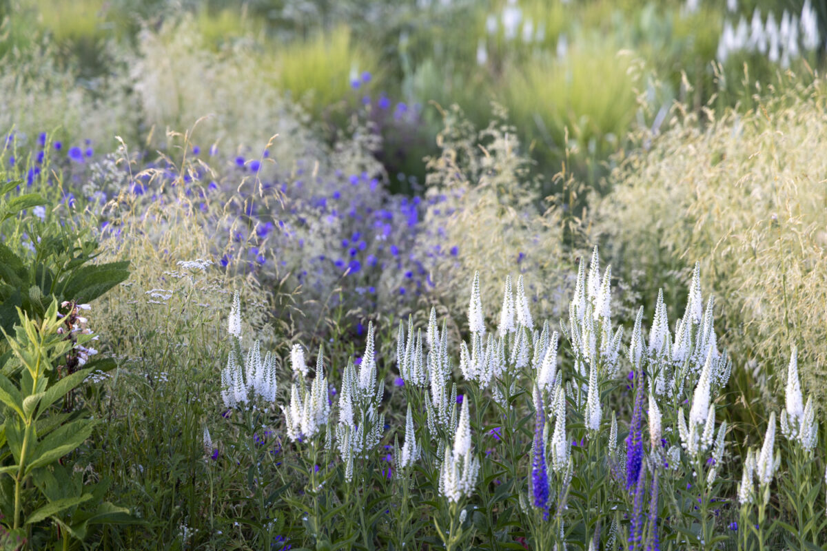 Photo: Staudengärtnerei in Rödelsee - Workshop Gartenfotografie mit Sylvia Knittel