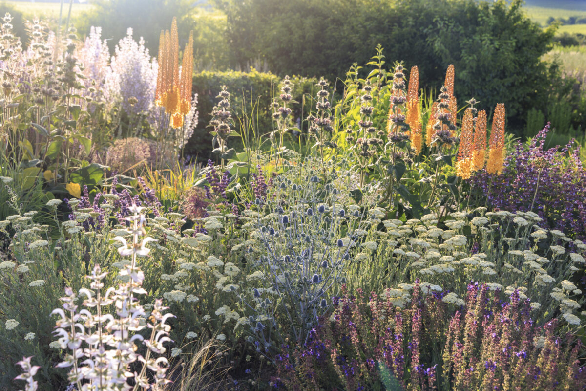 Photo: Staudengärtnerei in Rödelsee - Workshop Gartenfotografie mit Sylvia Knittel