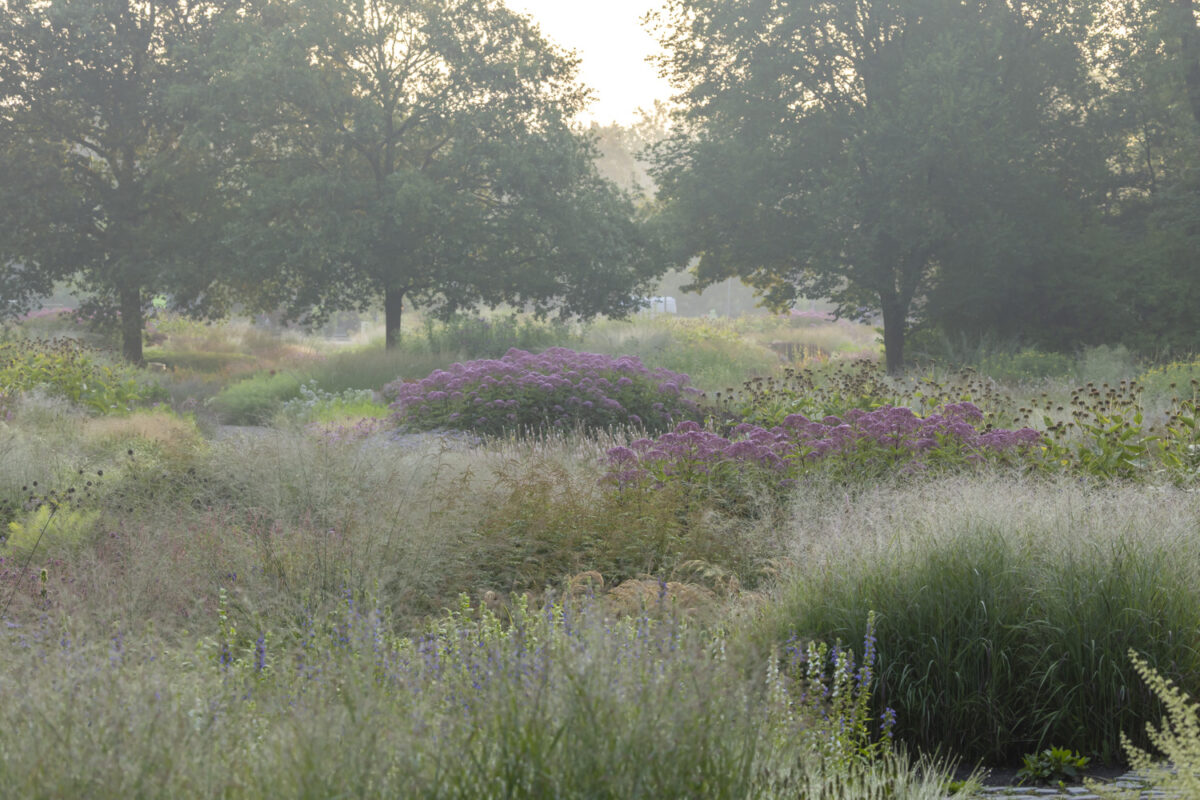 Photo: Maximilianpark in Hamm: Workshop Gartenfotografie mit Sylvia Knittel: 1.-2. August 2026