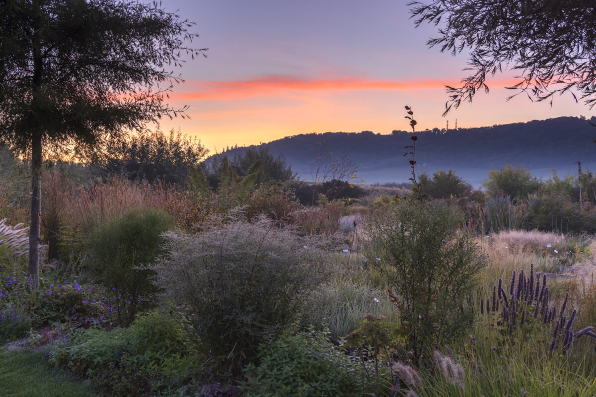 Photo: Staudengärtnerei in Rödelsee - Workshop Gartenfotografie mit Sylvia Knittel
