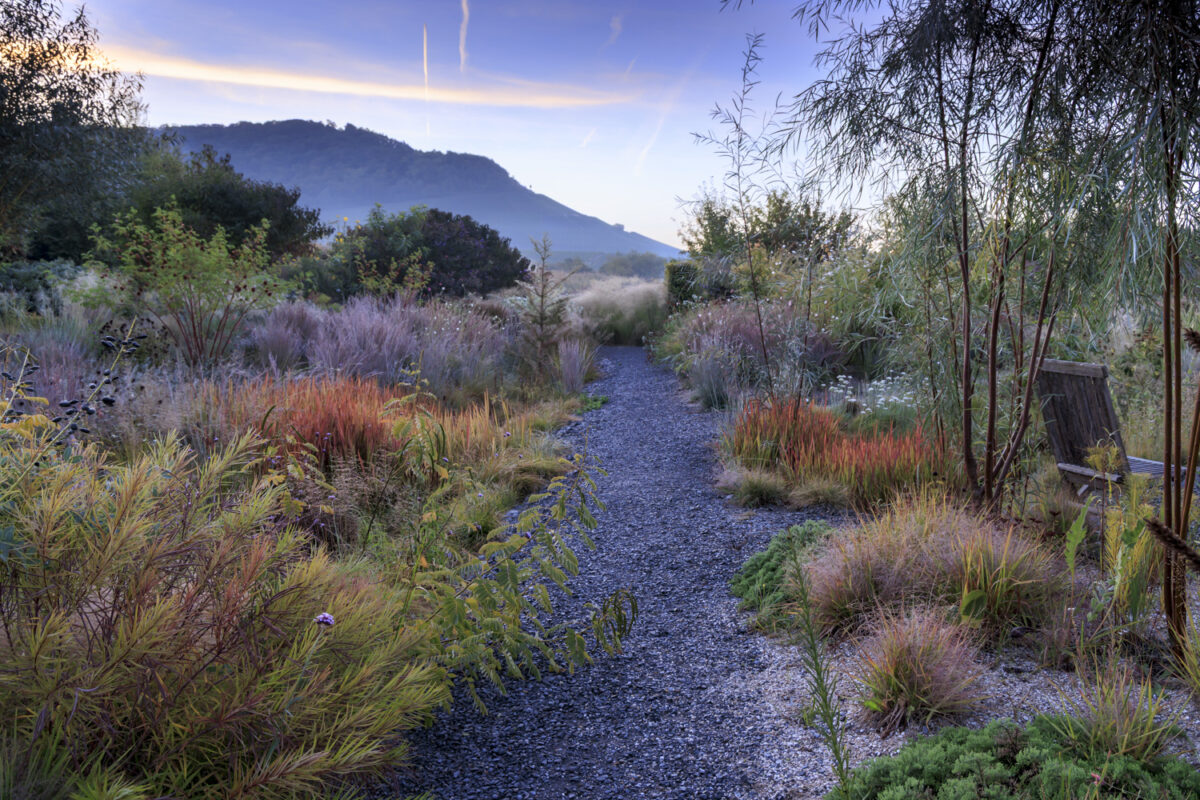 Photo: Staudengärtnerei in Rödelsee - Workshop Gartenfotografie mit Sylvia Knittel