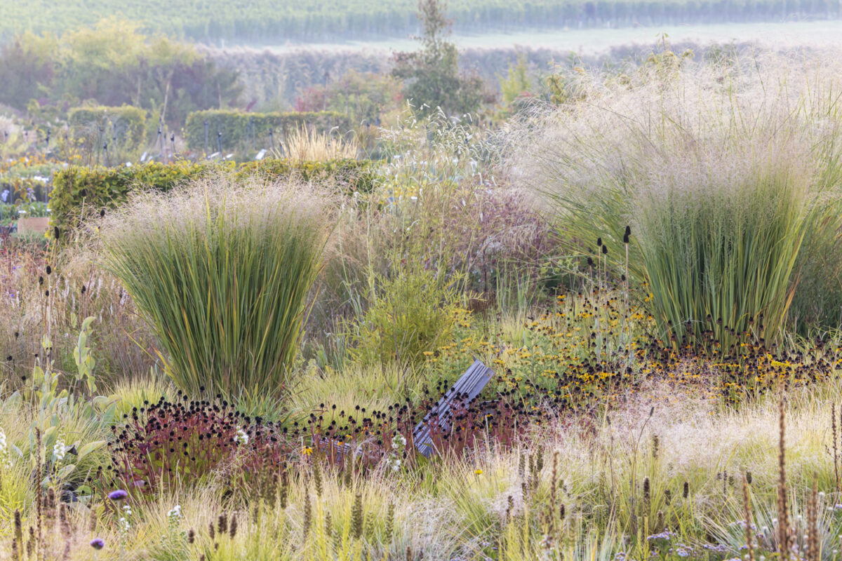 Photo: Staudengärtnerei in Rödelsee - Workshop Gartenfotografie mit Sylvia Knittel