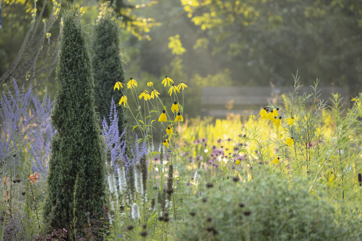 Photo: Maximilianpark in Hamm: Workshop Gartenfotografie mit Sylvia Knittel: 1.-2. August 2026