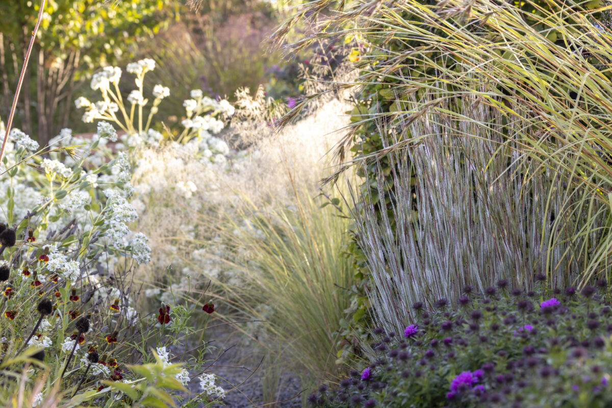 Photo: Staudengärtnerei in Rödelsee - Workshop Gartenfotografie mit Sylvia Knittel
