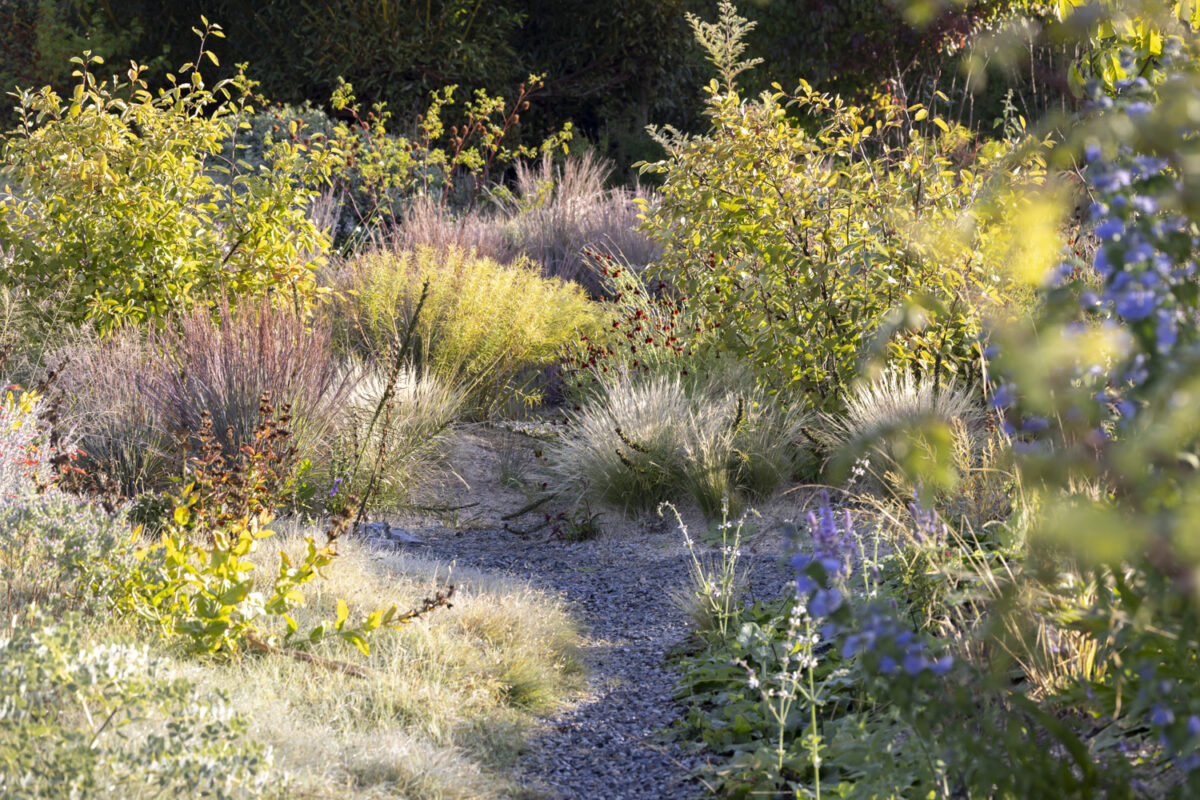 Photo: Staudengärtnerei in Rödelsee - Workshop Gartenfotografie mit Sylvia Knittel