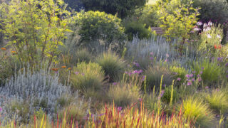 Photo: Maximilianpark in Hamm: Workshop Gartenfotografie mit Sylvia Knittel: 1.-2. August 2026