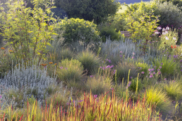 Photo: Staudengärtnerei in Rödelsee - Workshop Gartenfotografie mit Sylvia Knittel