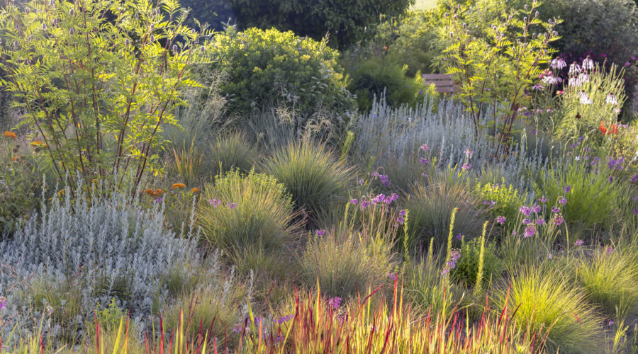 Bild: Staudengärtnerei in Rödelsee - Workshop Gartenfotografie mit Sylvia Knittel Photo: Staudengärtnerei in Rödelsee - Workshop Gartenfotografie mit Sylvia Knittel
