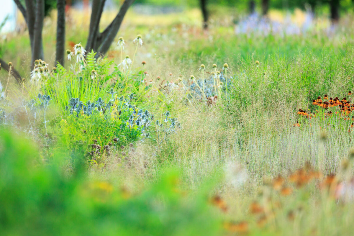 Photo: Anmeldung zum Newsletter