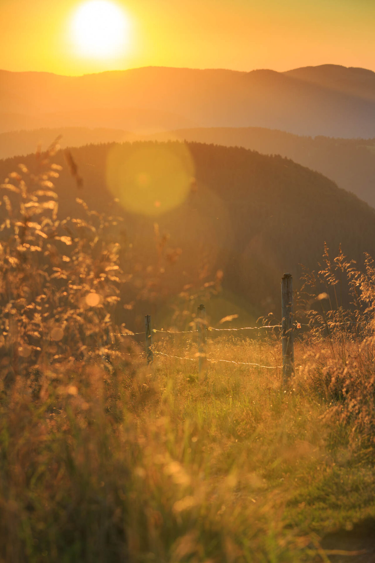 Photo: Anmeldung zum Newsletter