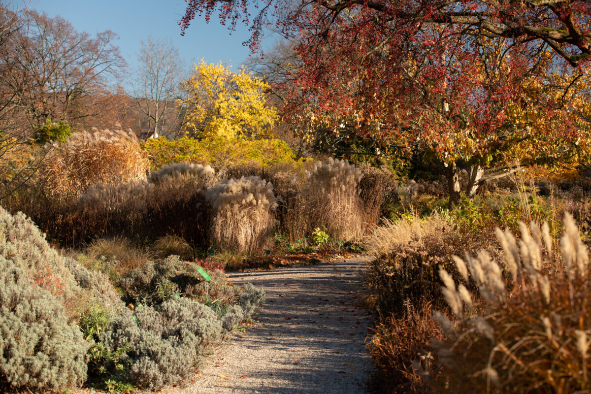 Photo: Der Hermannshof - das Gartenparadies