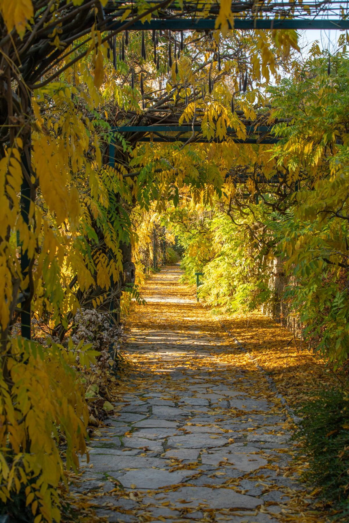 Photo: Der Hermannshof - das Gartenparadies