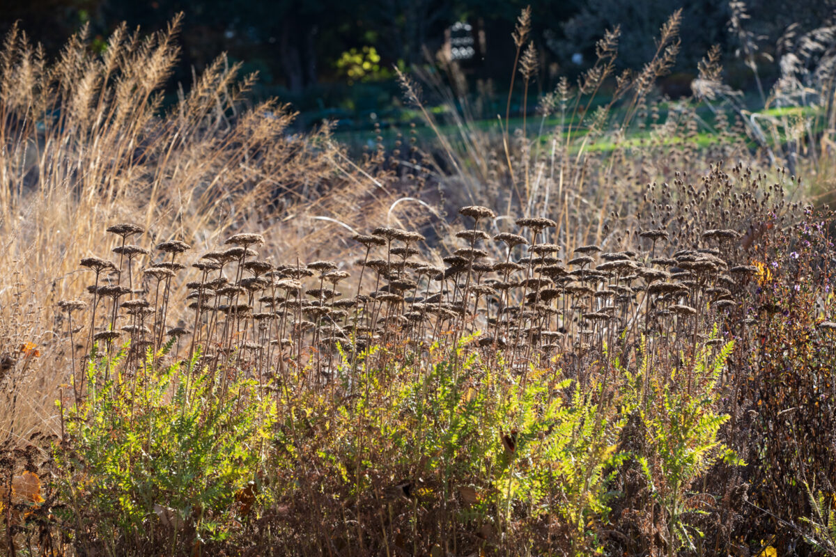 Photo: Der Hermannshof - das Gartenparadies