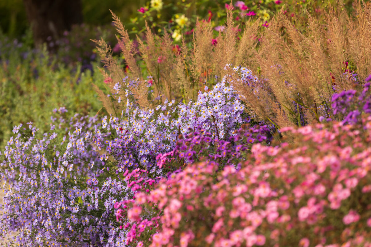 Photo: Der Hermannshof - das Gartenparadies
