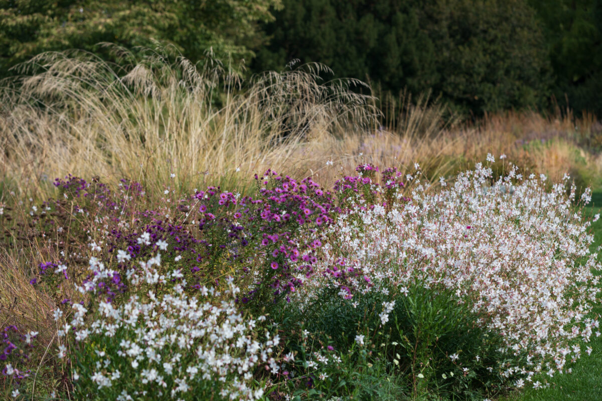 Photo: Der Hermannshof - das Gartenparadies