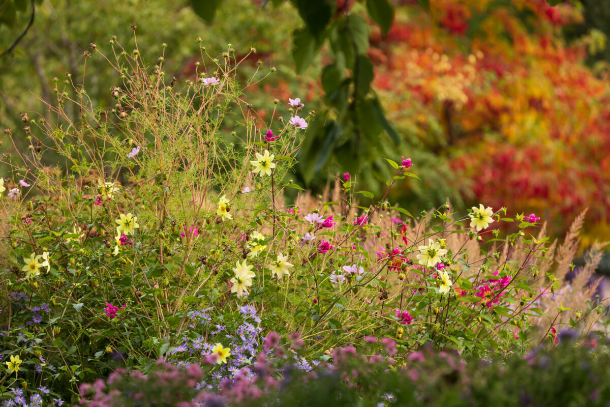 Photo: Der Hermannshof - das Gartenparadies
