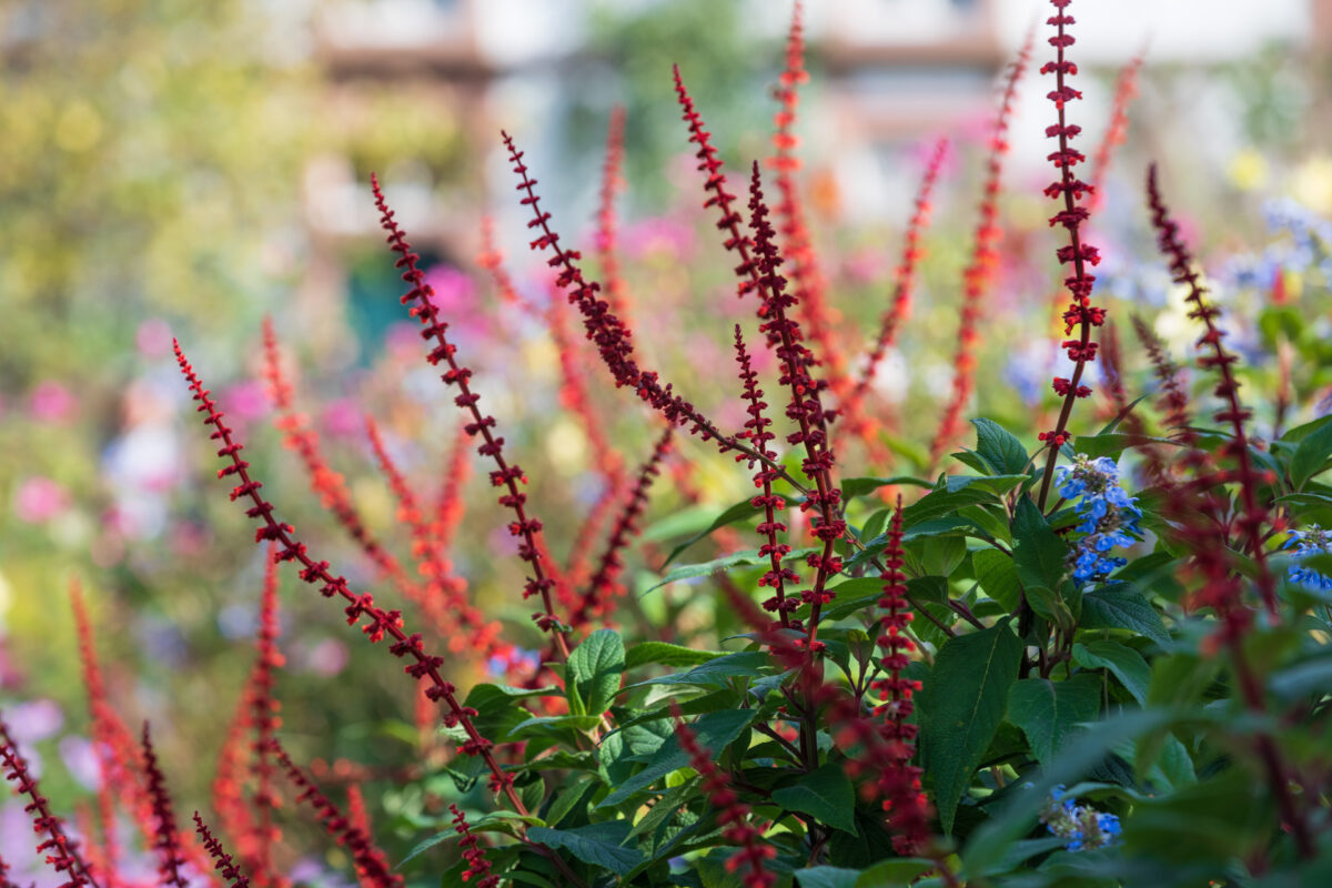 Photo: Der Hermannshof - das Gartenparadies