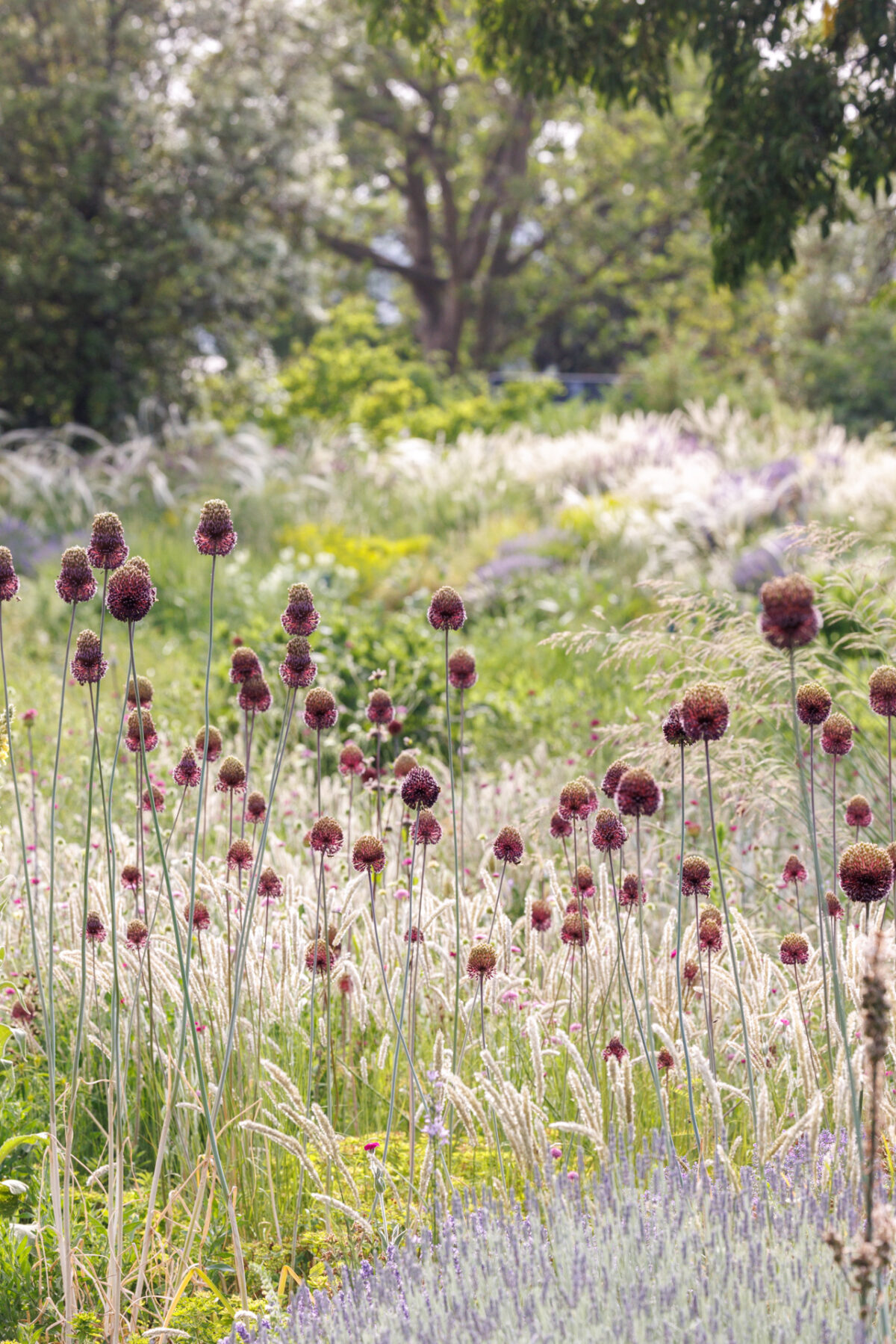 Photo: Der Hermannshof - das Gartenparadies