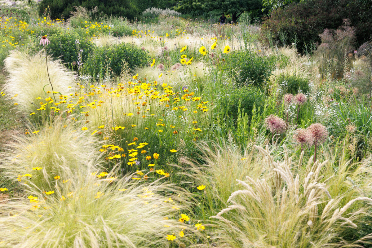 Photo: Der Hermannshof - das Gartenparadies