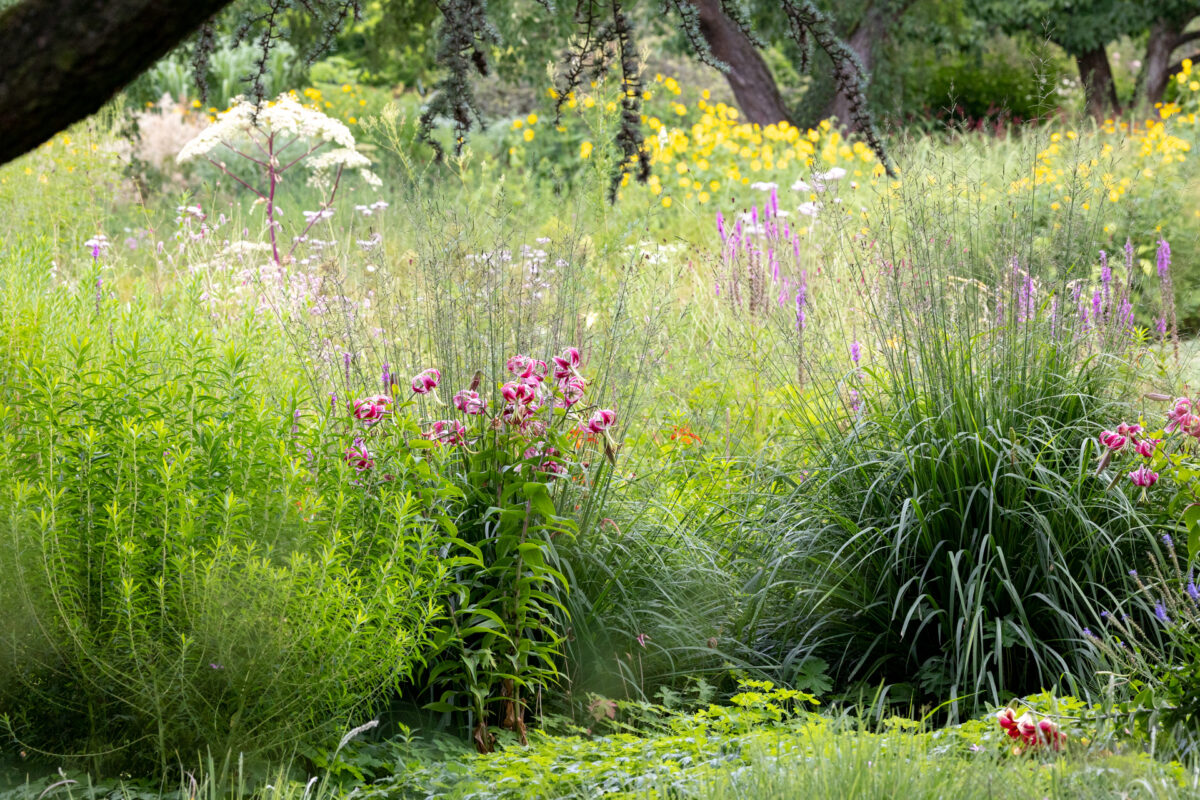 Photo: Der Hermannshof - das Gartenparadies
