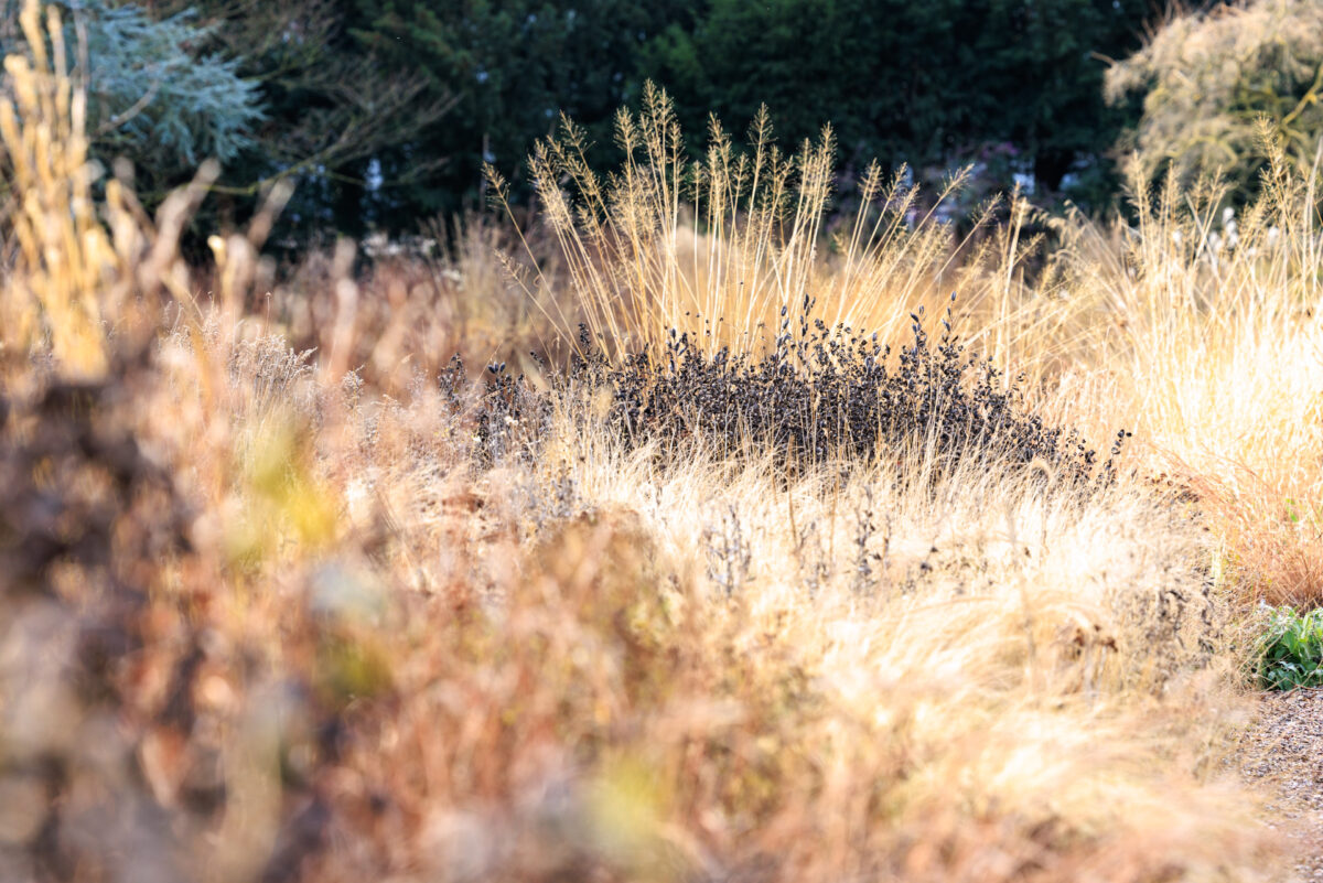Photo: Der Hermannshof - das Gartenparadies