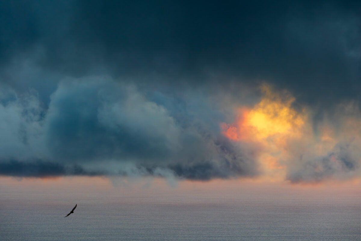 Photo: Azoren - das gr&uuml;ne Paradies