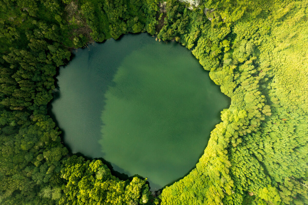 Photo: Azoren - das gr&uuml;ne Paradies