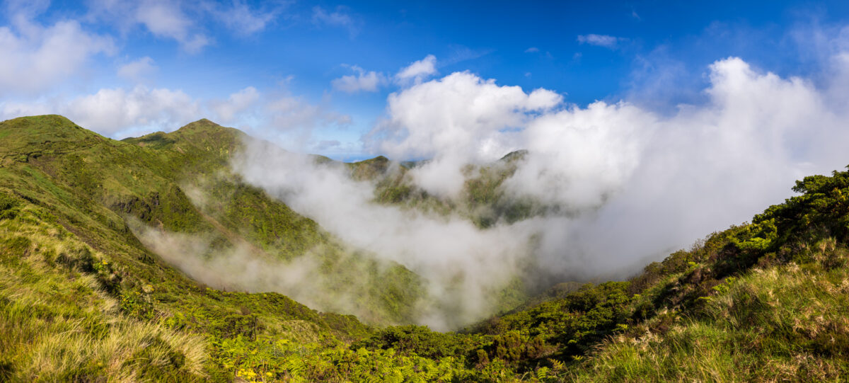 Photo: Azoren - das gr&uuml;ne Paradies