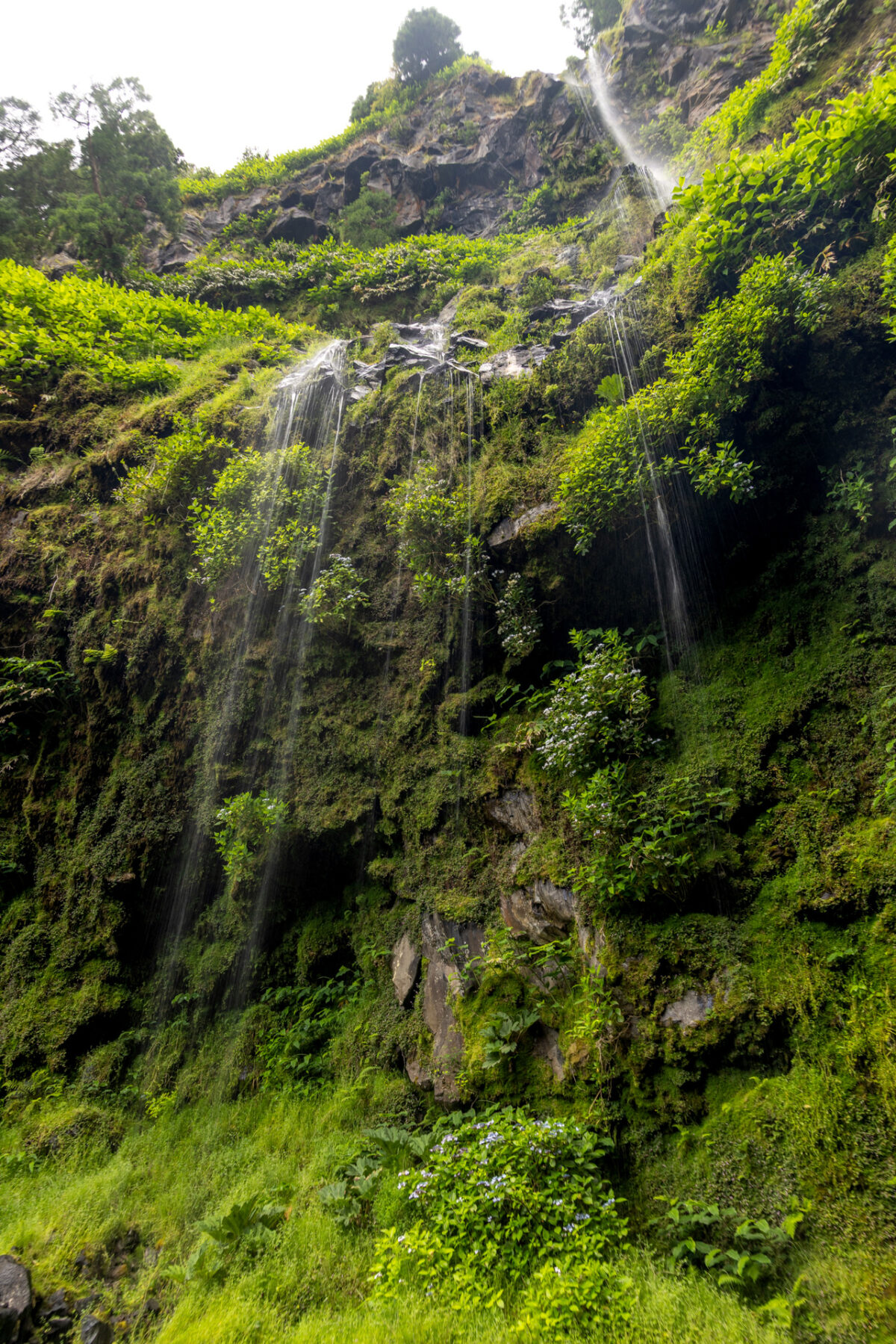 Photo: Azoren - das gr&uuml;ne Paradies