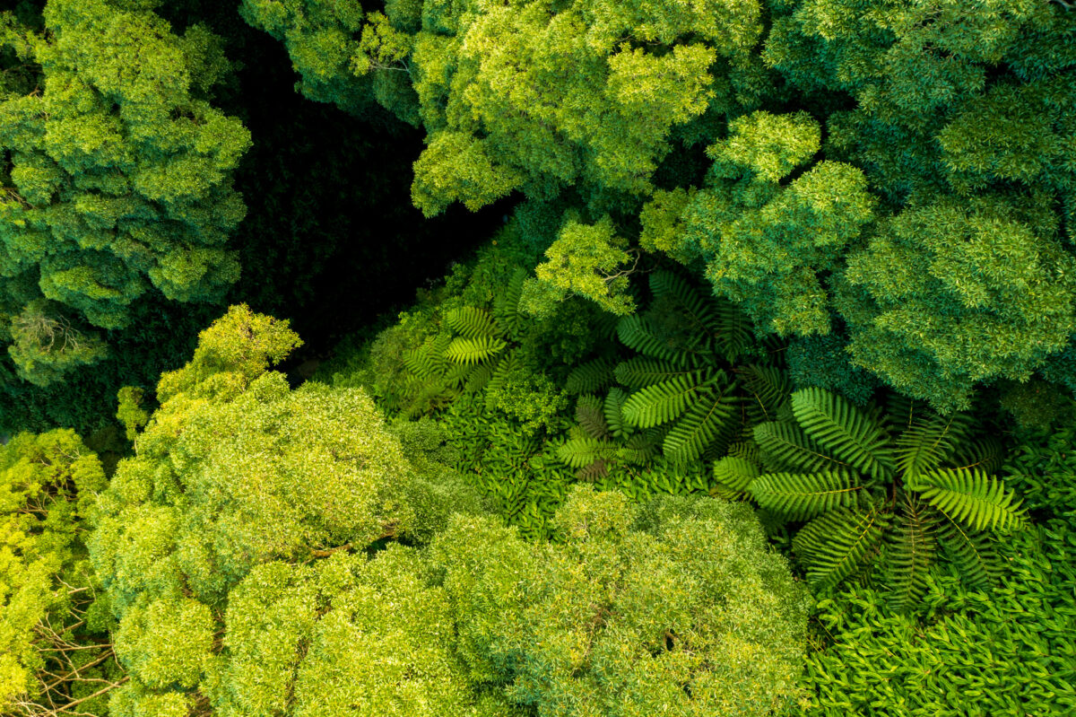 Photo: Azoren - das gr&uuml;ne Paradies