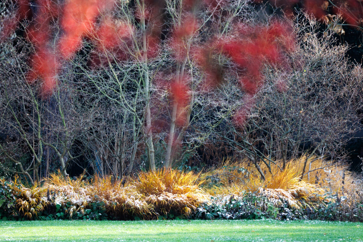 Photo: Der Hermannshof - das Gartenparadies