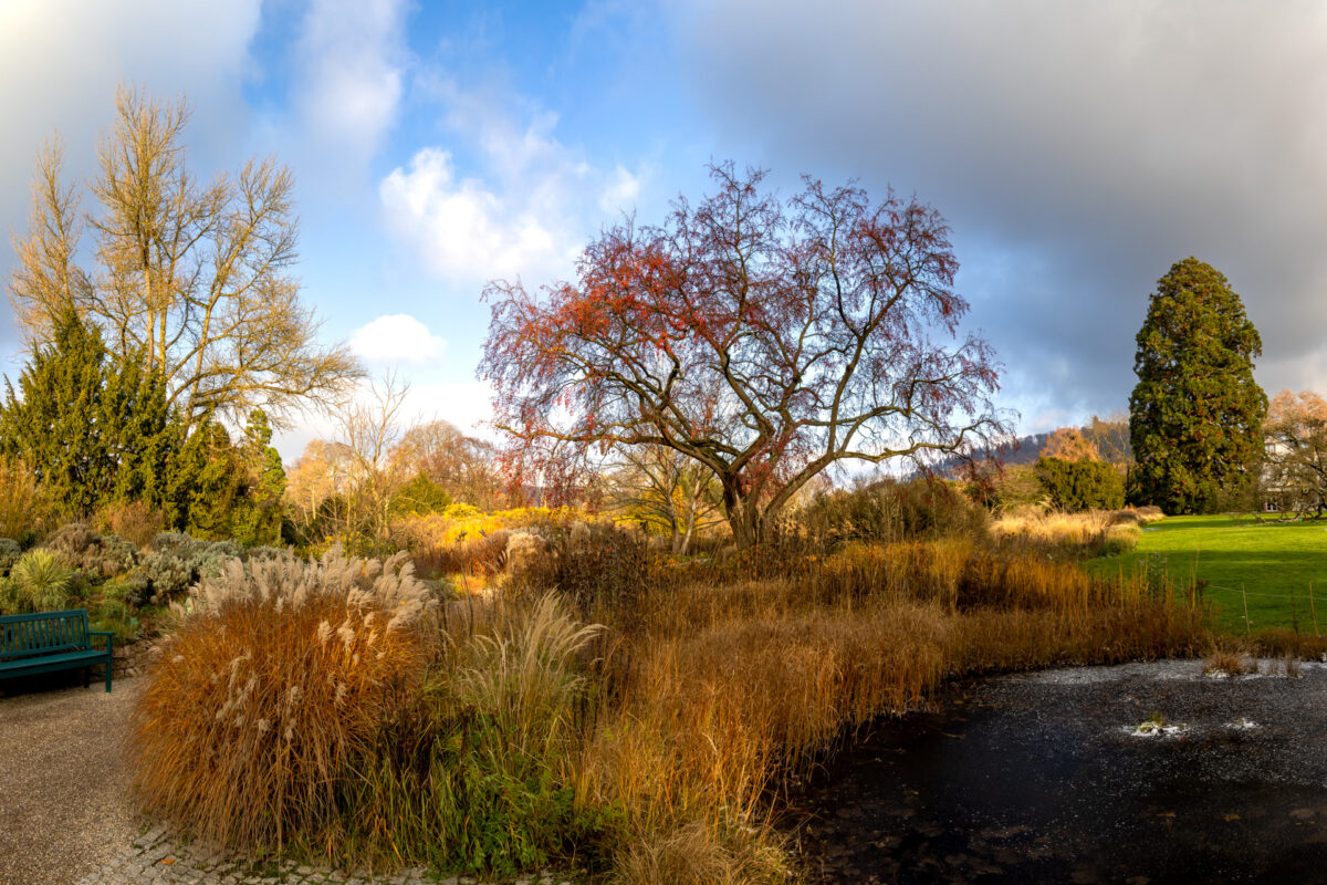 Photo: Der Hermannshof - das Gartenparadies