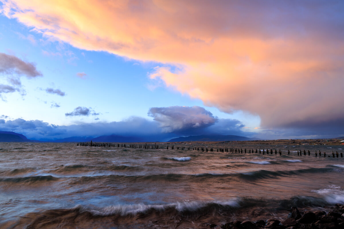 Bild: Puma, Condor und Guanaco - Tiere in Patagonien Photo: Puma, Condor und Guanaco - Tiere in Patagonien