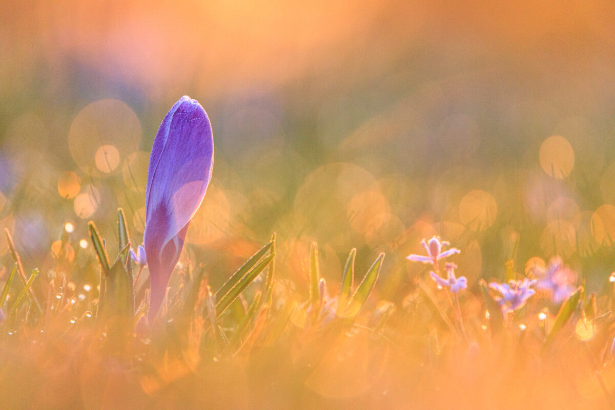 Photo: Anmeldung zum Newsletter