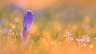 Photo: Zum Newsletter anmelden