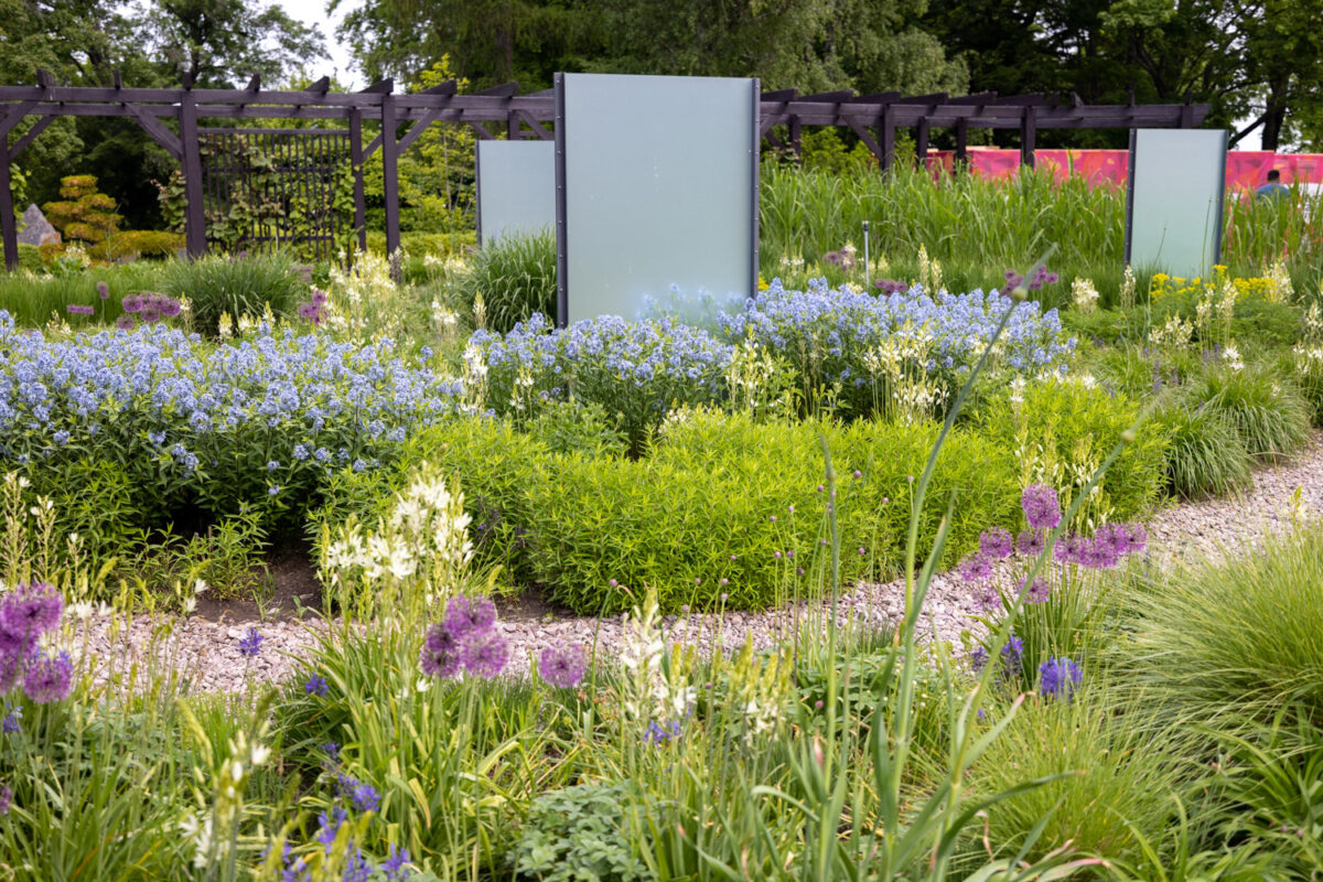 Photo: Bundesgartenschau in Erfurt 2021 - 8000 qm von Petra Pelz