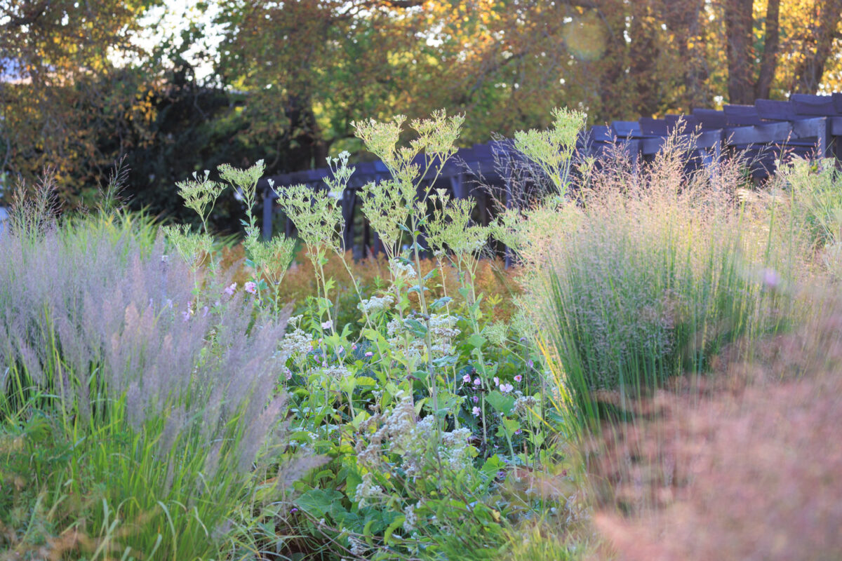 Photo: Bundesgartenschau in Erfurt 2021 - 8000 qm von Petra Pelz