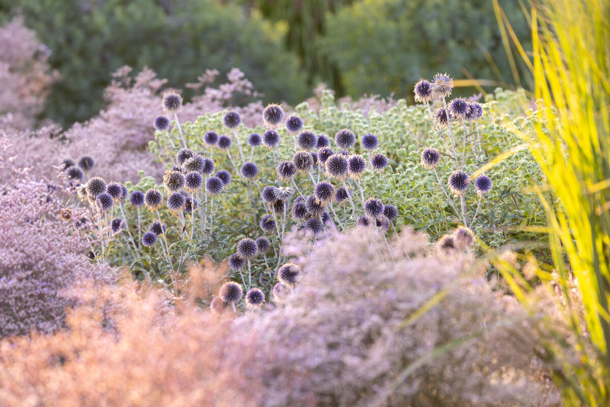 Photo: Bundesgartenschau in Erfurt 2021 - 8000 qm von Petra Pelz