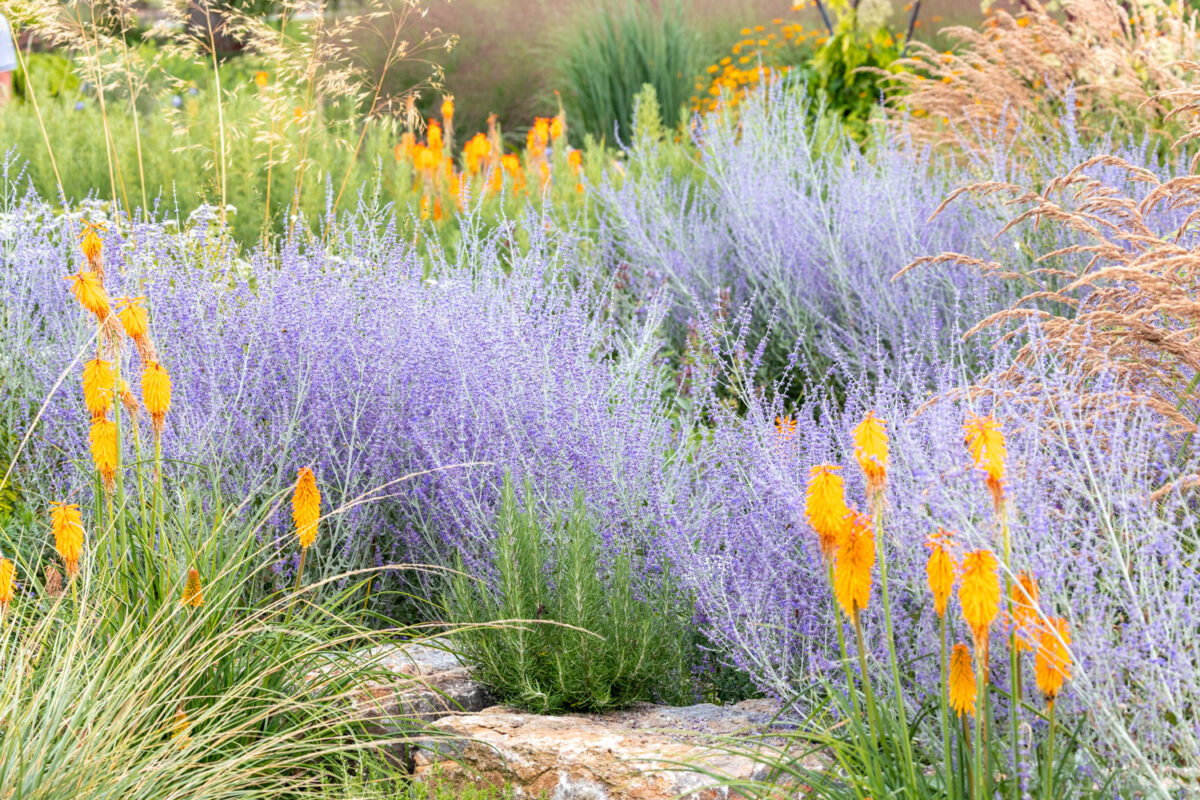 Photo: Bundesgartenschau in Erfurt 2021 - 8000 qm von Petra Pelz