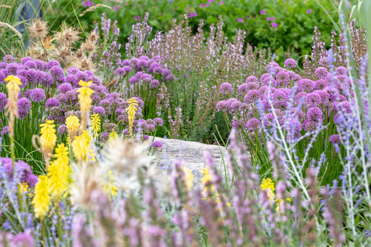 Photo: Bundesgartenschau in Erfurt 2021 - 8000 qm von Petra Pelz