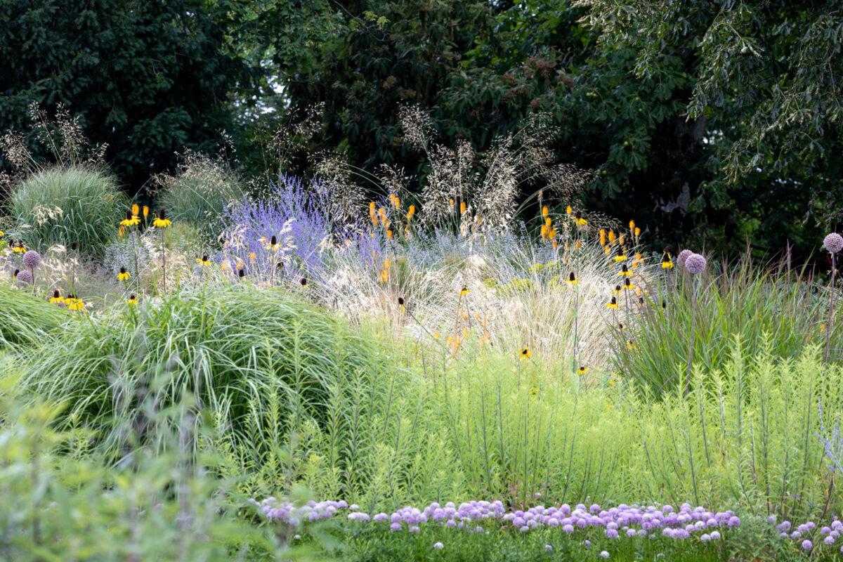 Photo: Bundesgartenschau in Erfurt 2021 - 8000 qm von Petra Pelz