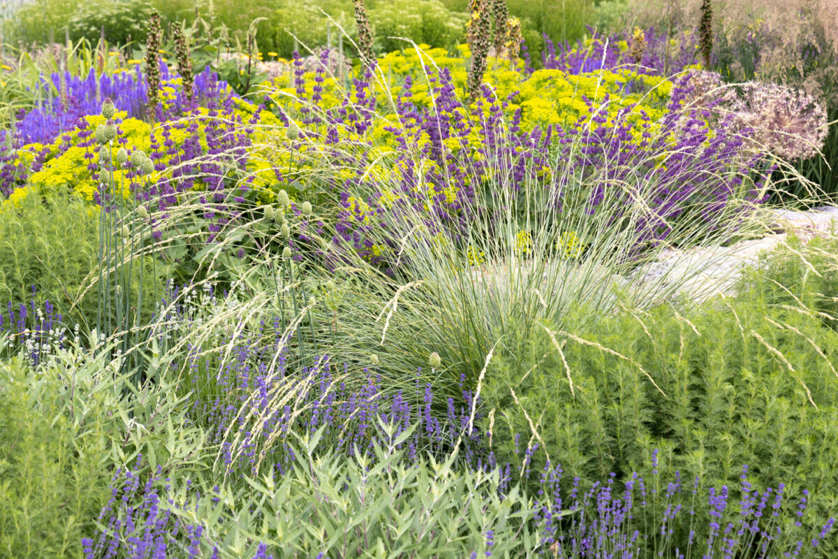 Photo: Bundesgartenschau in Erfurt 2021 - 8000 qm von Petra Pelz