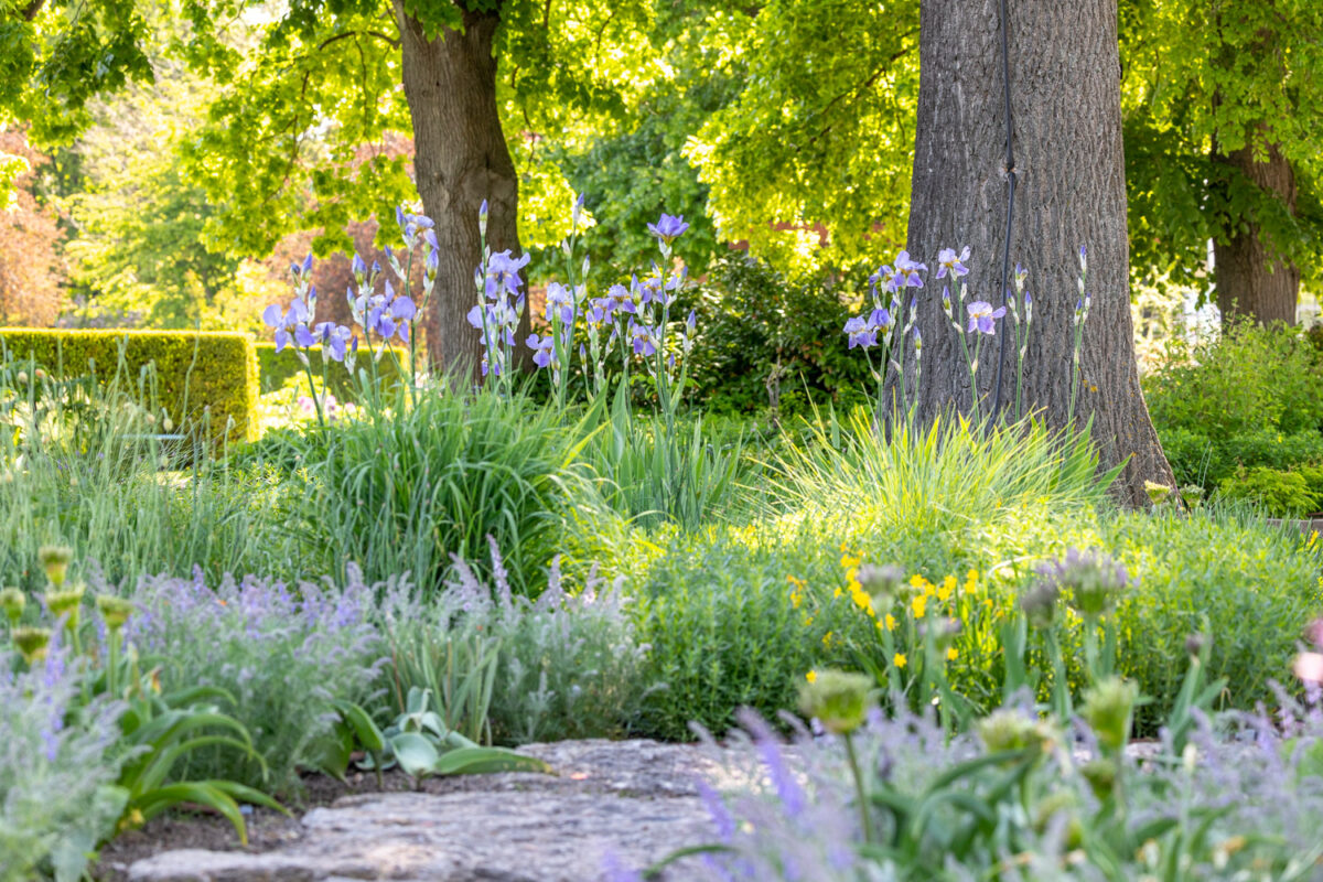Photo: Bundesgartenschau in Erfurt 2021 - 8000 qm von Petra Pelz