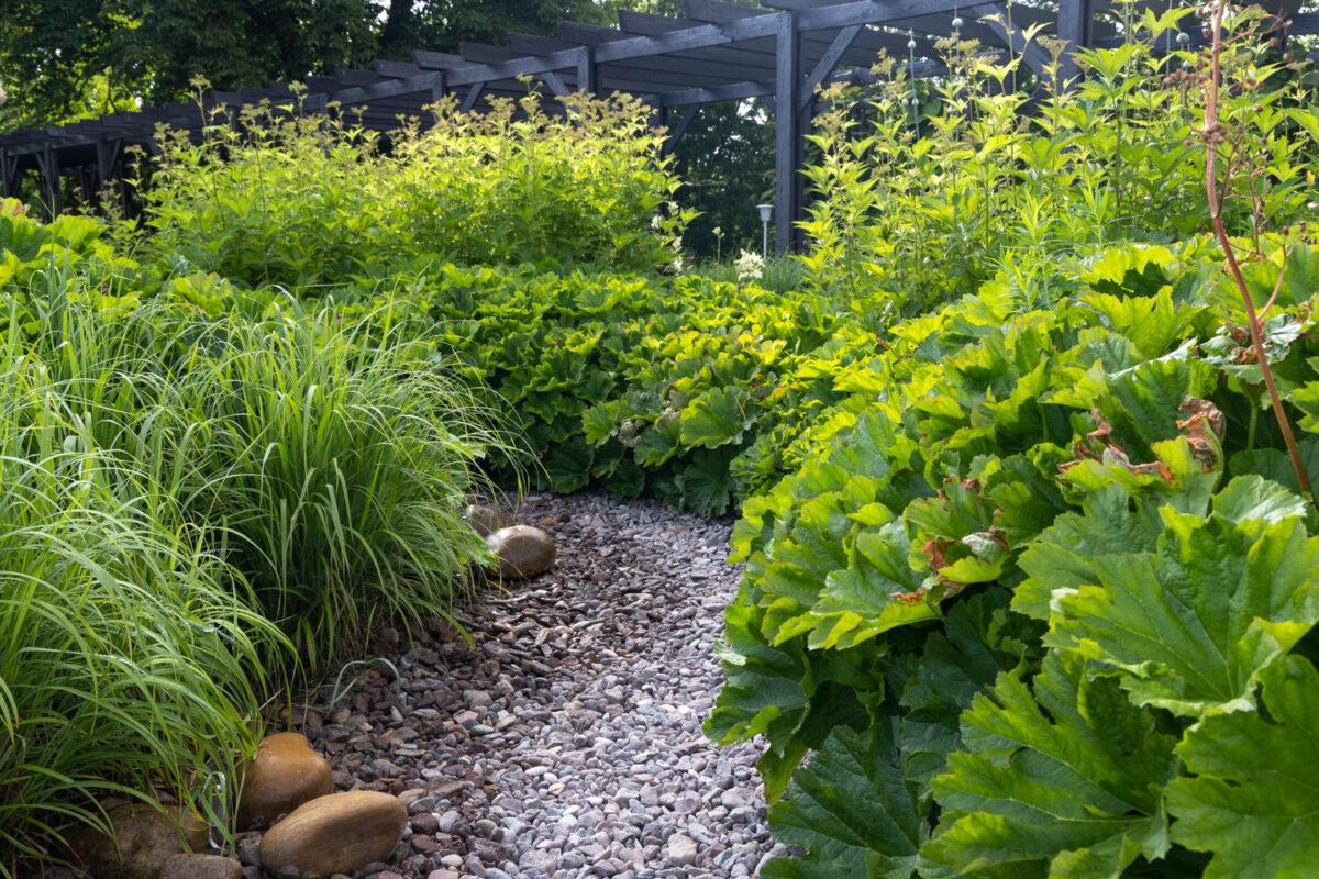 Photo: Bundesgartenschau in Erfurt 2021 - 8000 qm von Petra Pelz