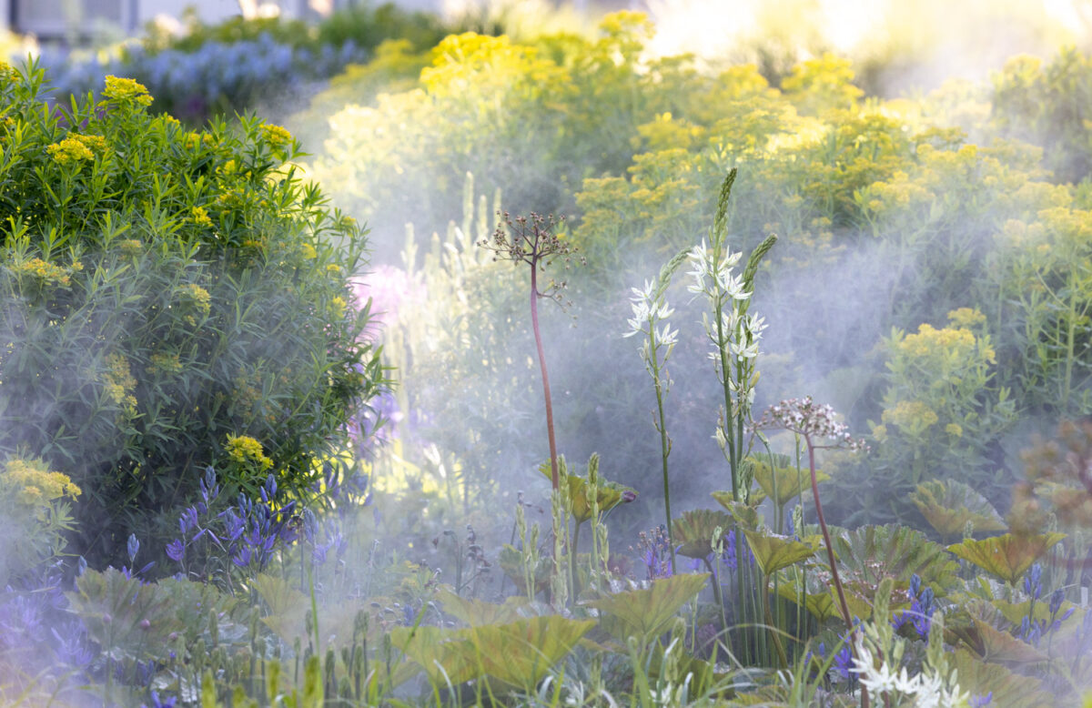 Photo: Bundesgartenschau in Erfurt 2021 - 8000 qm von Petra Pelz