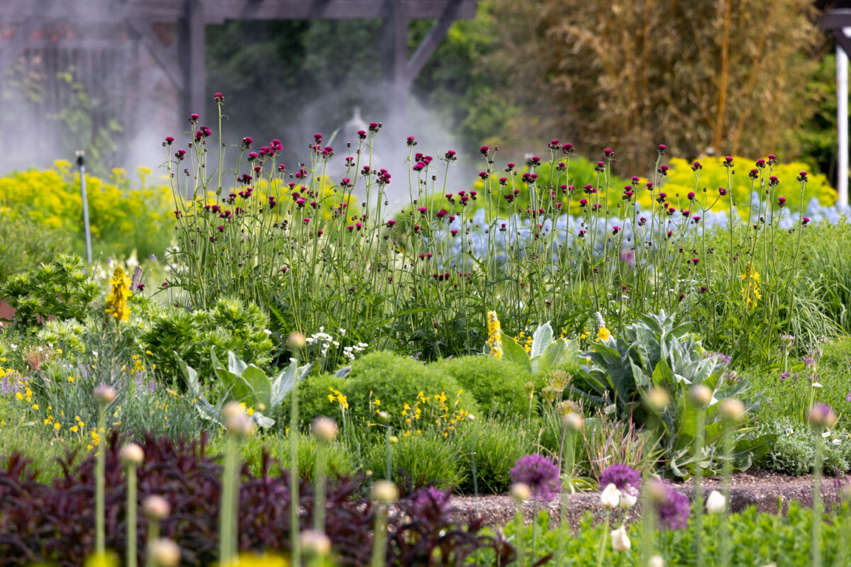 Photo: Bundesgartenschau in Erfurt 2021 - 8000 qm von Petra Pelz