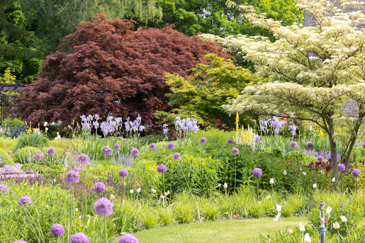 Photo: Bundesgartenschau in Erfurt 2021 - 8000 qm von Petra Pelz